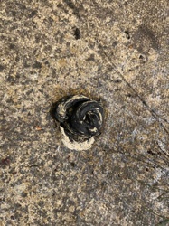 Unknown Substance