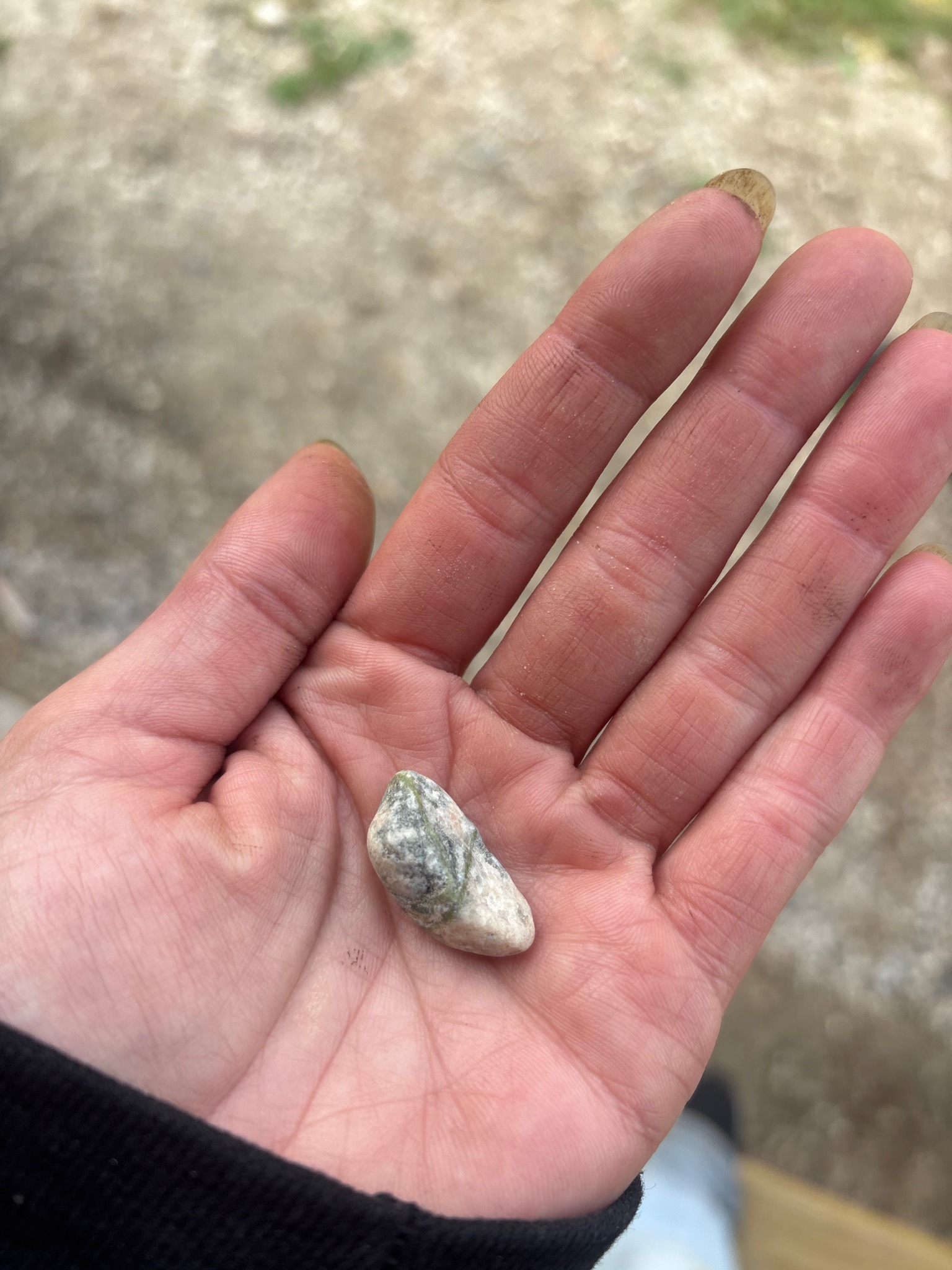 Quartzite Pebble