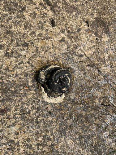 Unknown Substance