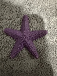 Starfish (Decorative)