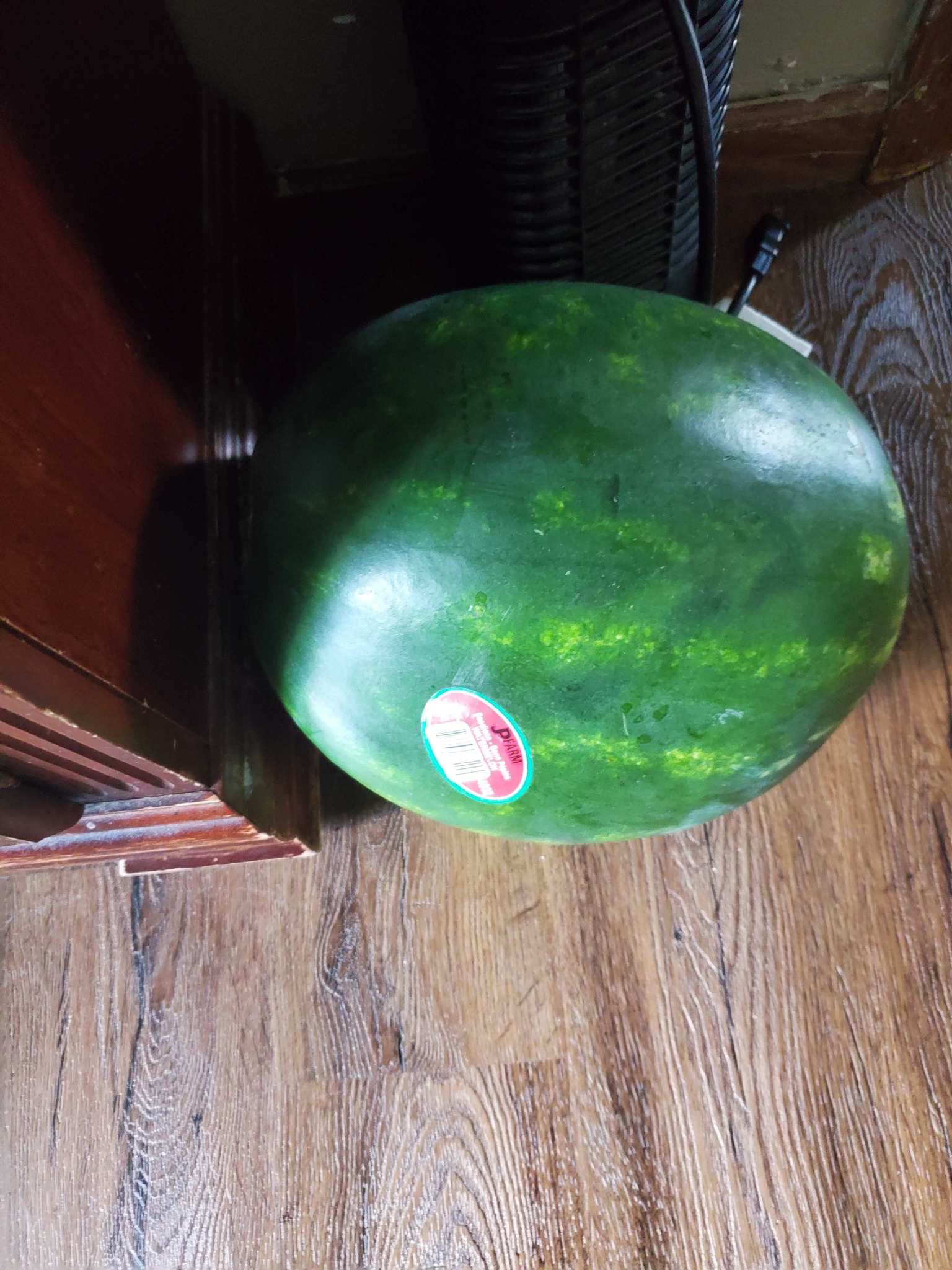 Watermelon