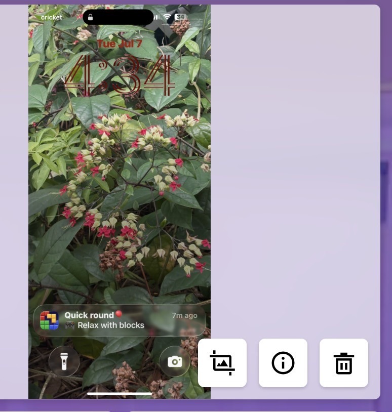 Bleeding Heart Vine