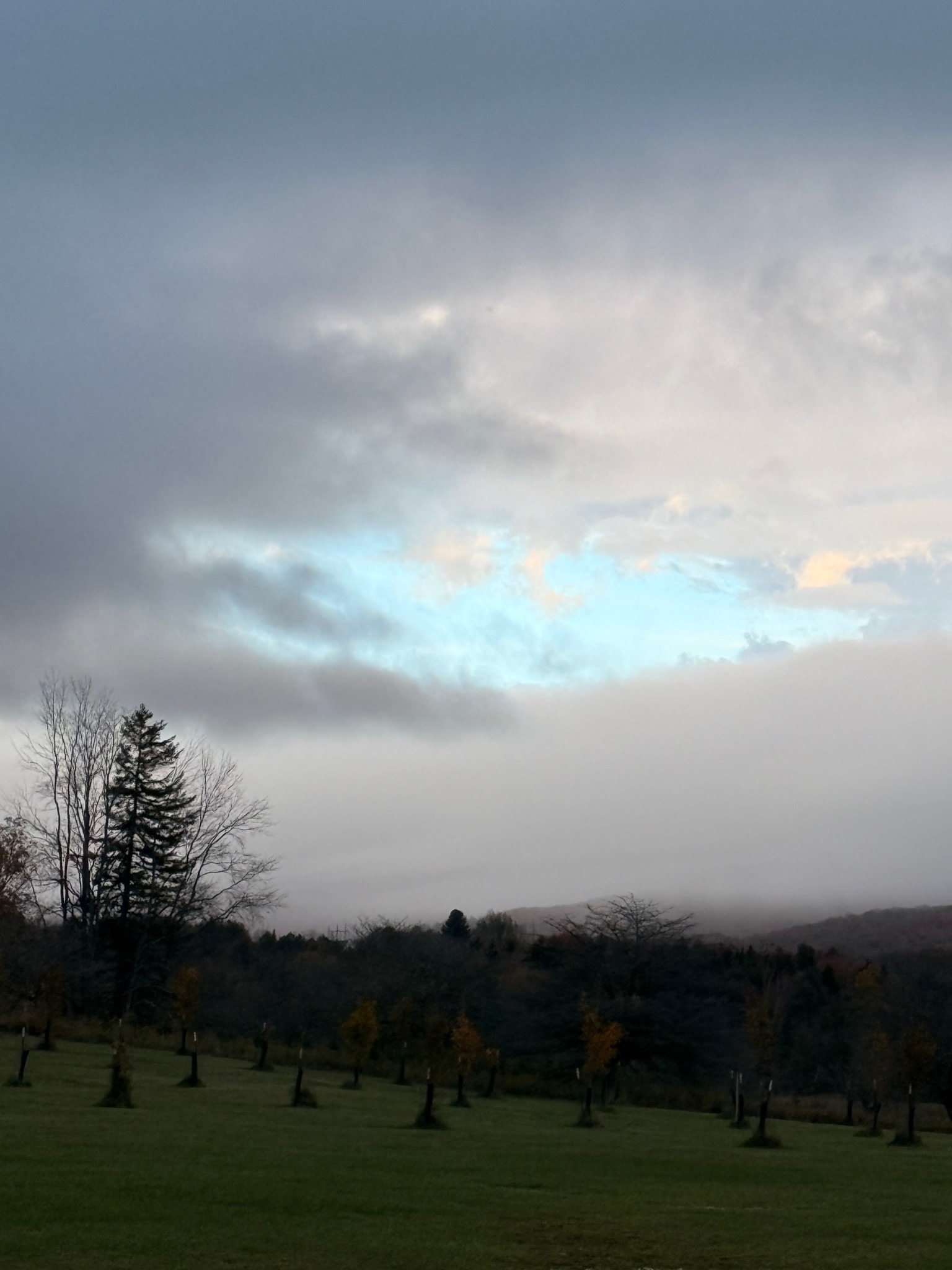 Stratocumulus and Fog