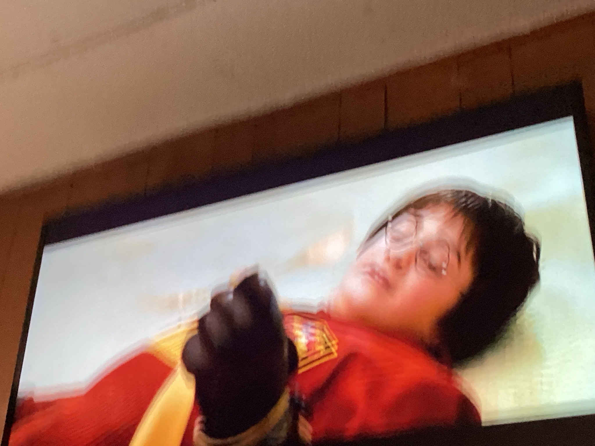 Television screen showing Harry Potter