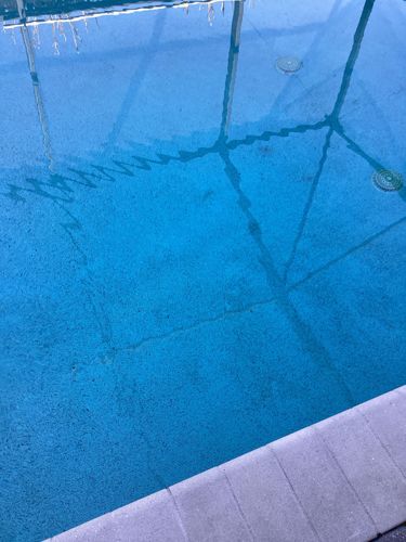 Swimming Pool Algae