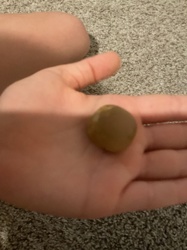 Pebble