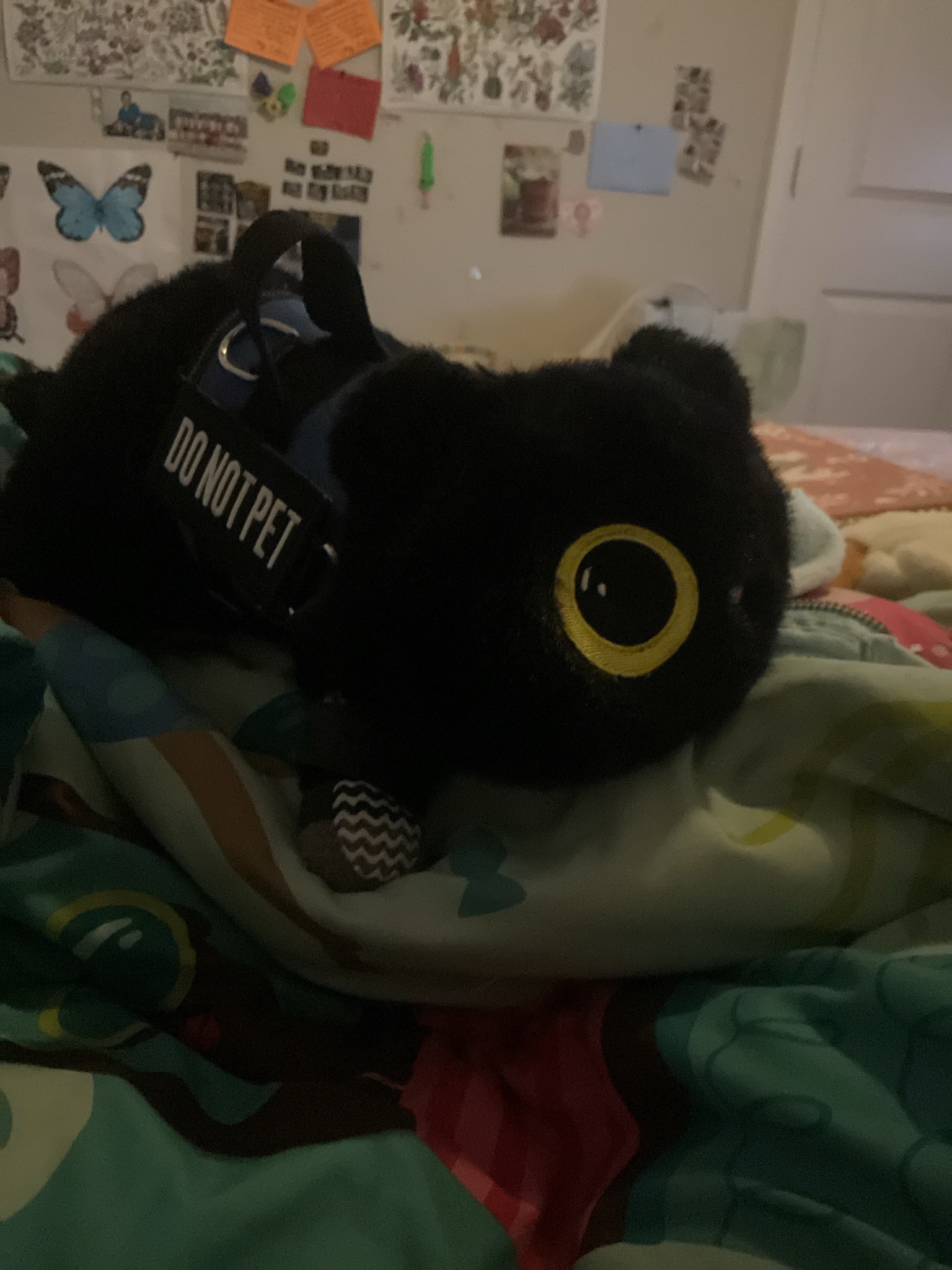 Plush Toy