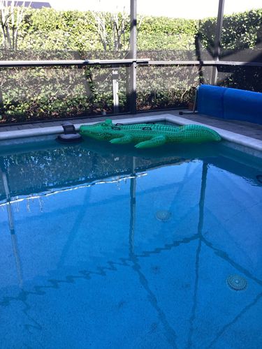 Inflatable alligator pool float