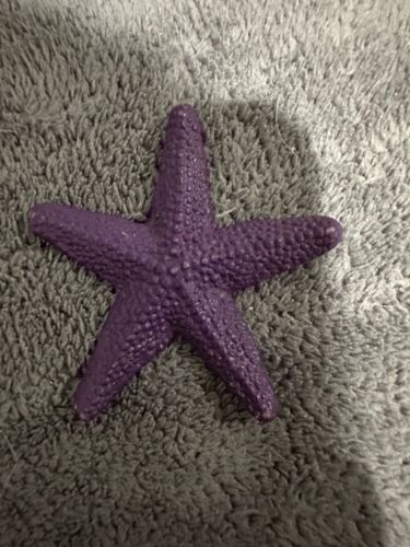 Starfish (Decorative)