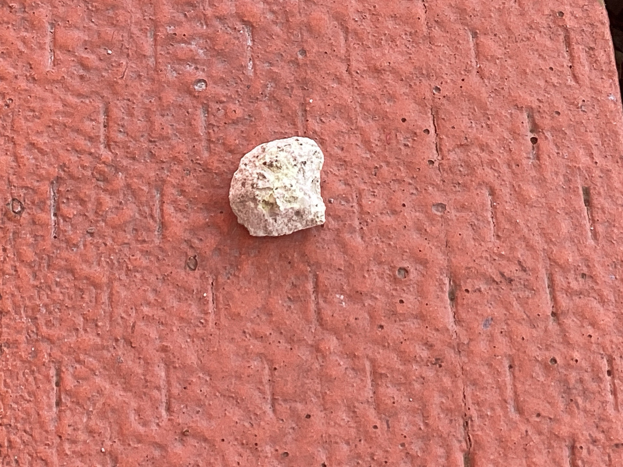 Feldspathic Rock Fragment