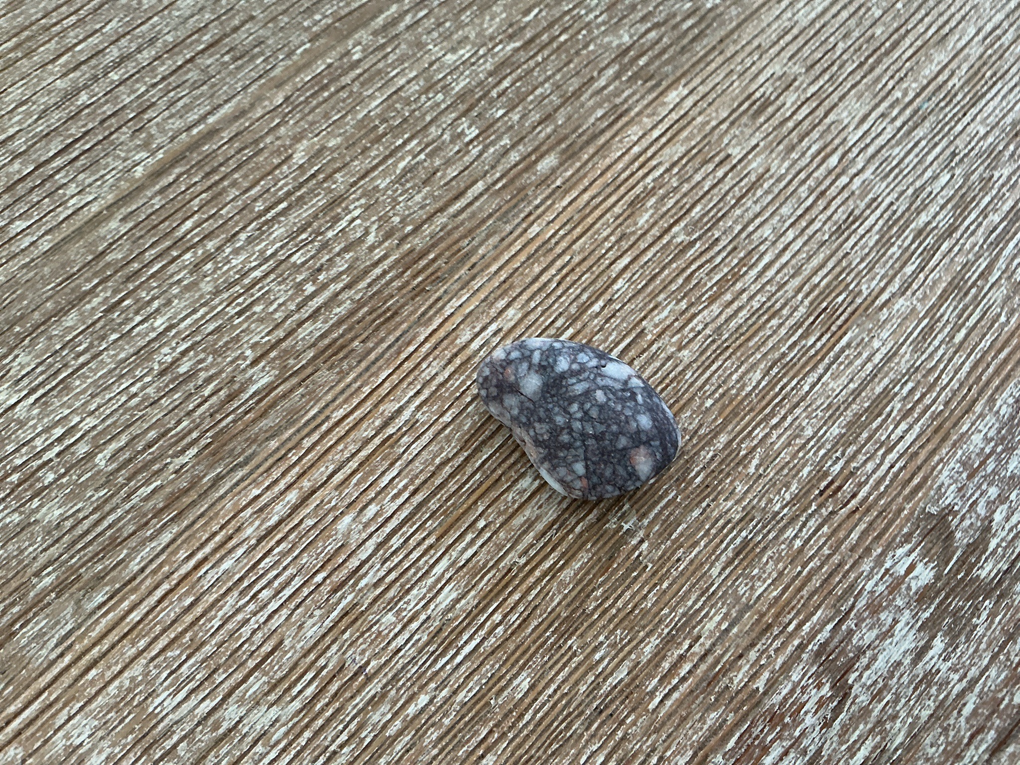 Puddingstone Pebble