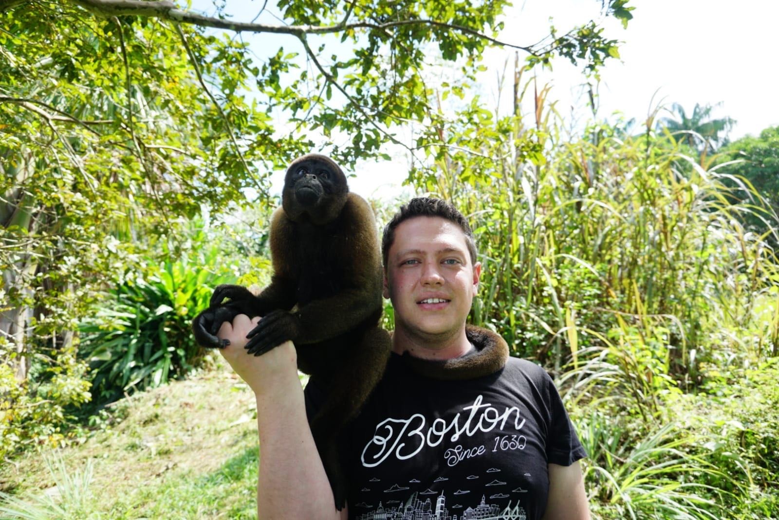 Brown Woolly Monkey