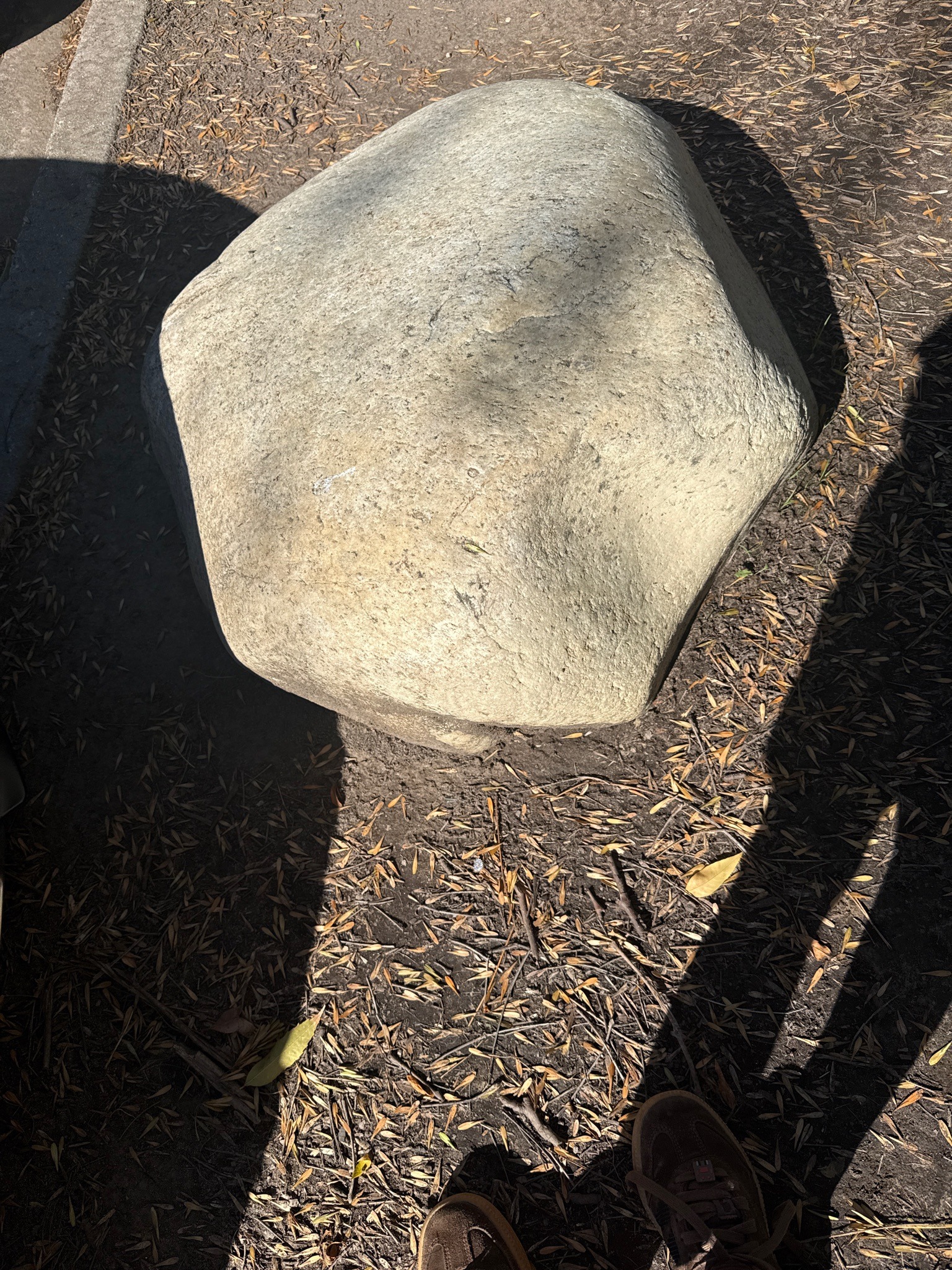 Granitic Boulder