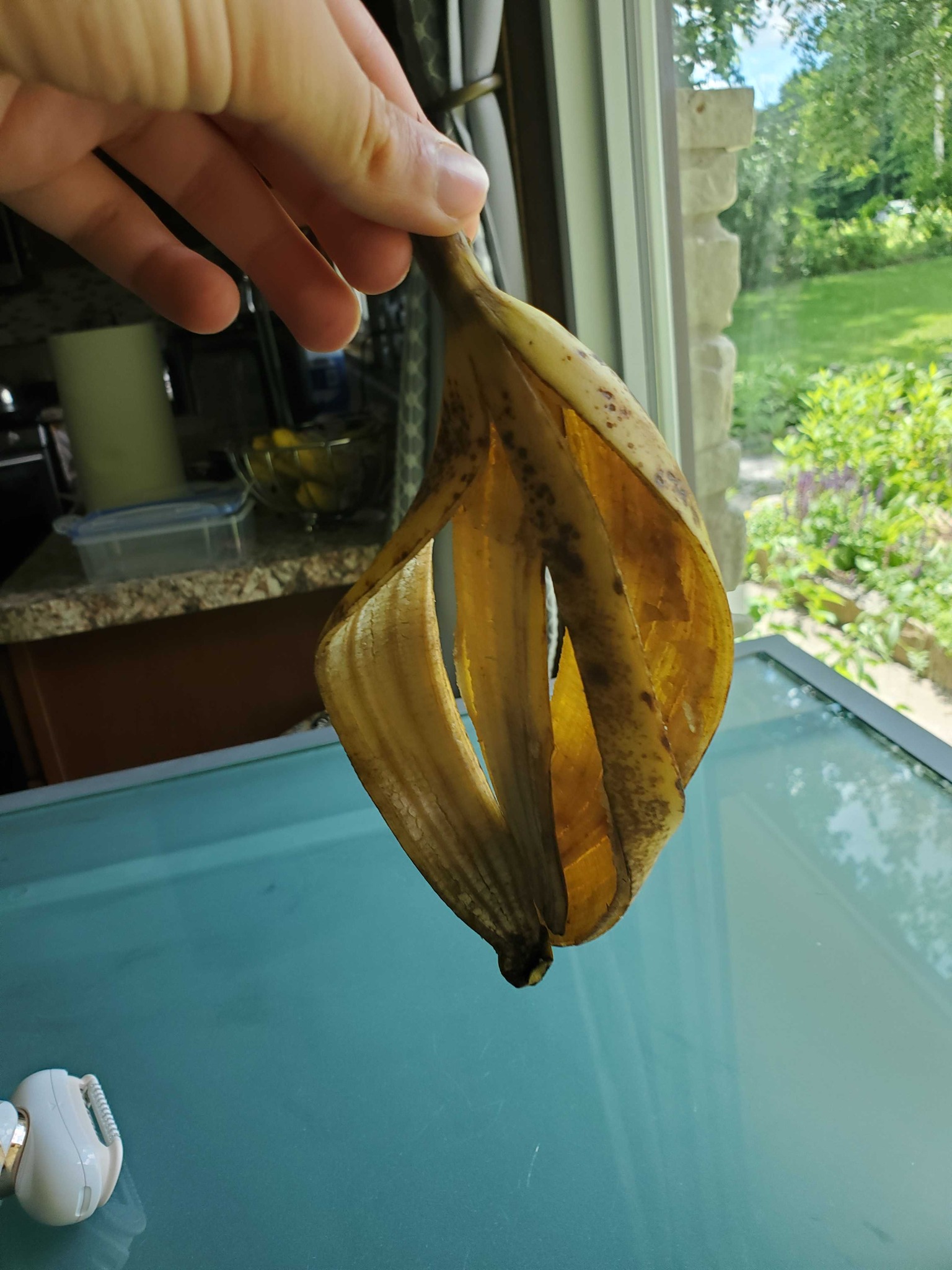 Banana Peel