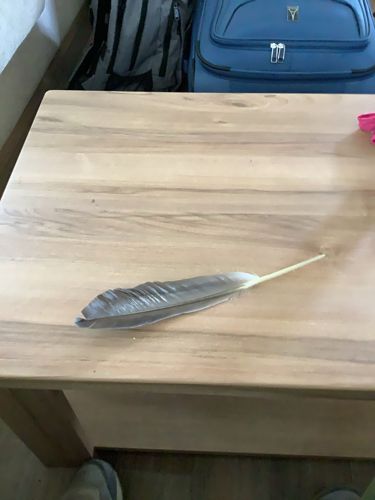 Feather