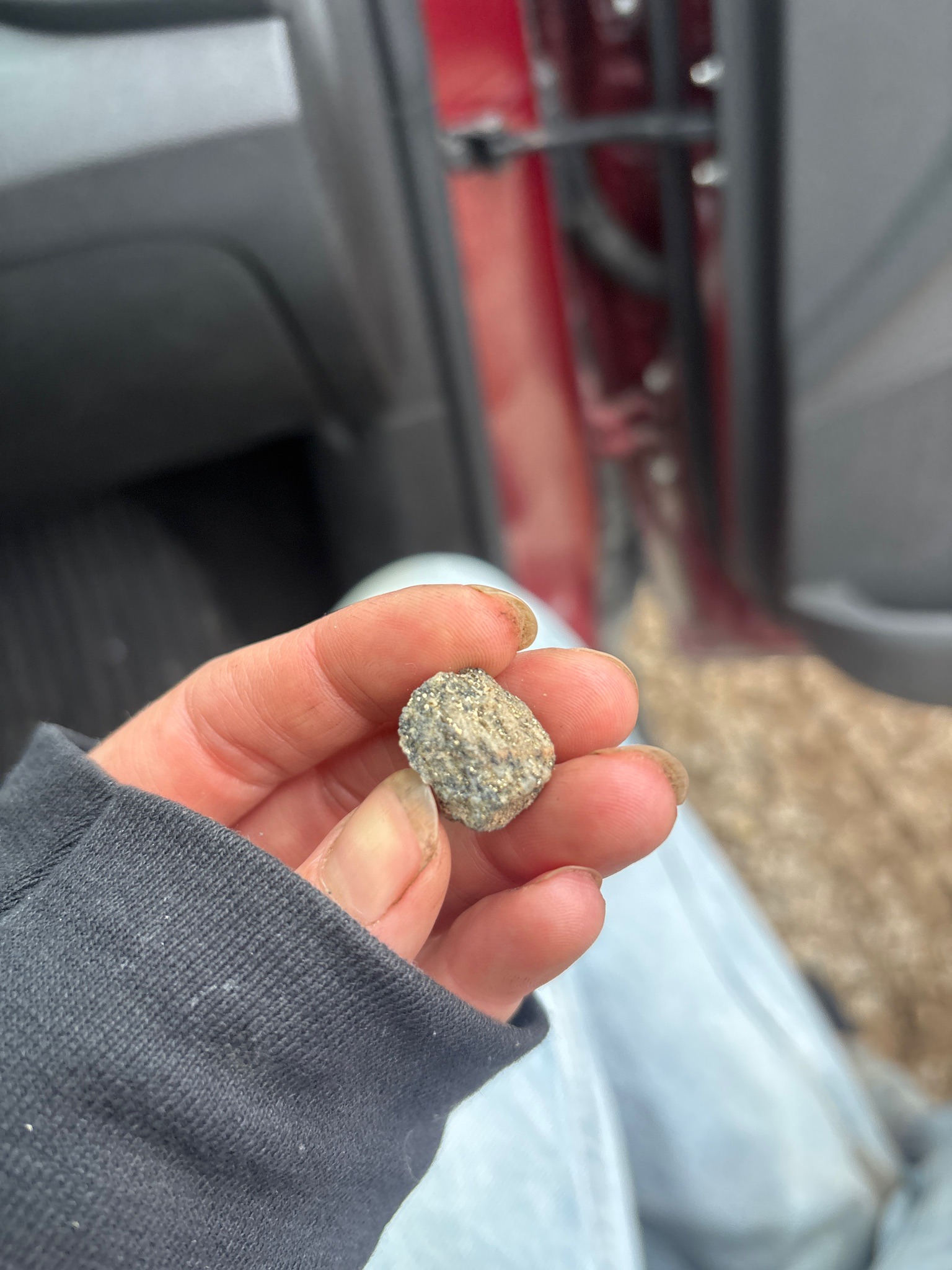 Pyrite-bearing Rock