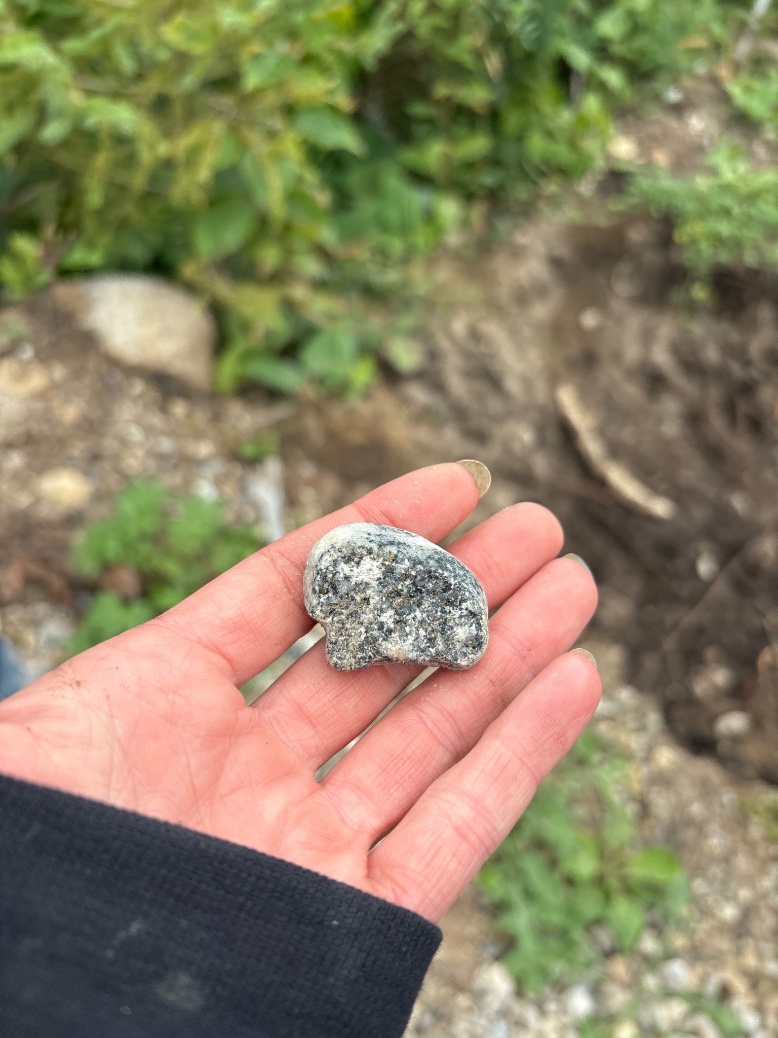 Granite Pebble
