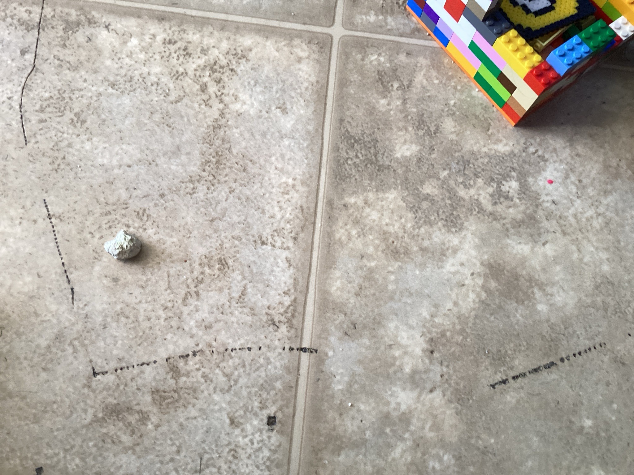Ceramic Tile Floor and Plastic Building Bricks