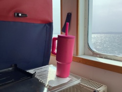 Pink Travel Mug